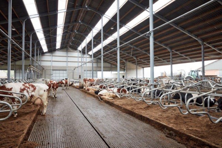 Welzijnsvloer W5